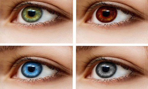 Ko‘zlar ranglari qanday shakllanadi va nima uchun farqlanadi?
