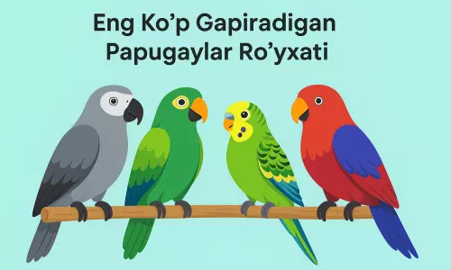 Eng ko‘p gapiradigan Papugaylar ro‘yxati