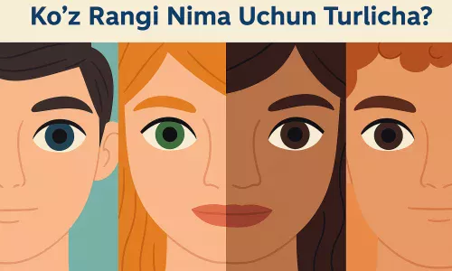 Ko'z rangi nima uchun turlicha? genetika va omillar