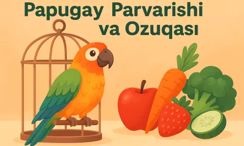 Papugay parvarishi va ozuqasi haqida batafsil ma’lumot