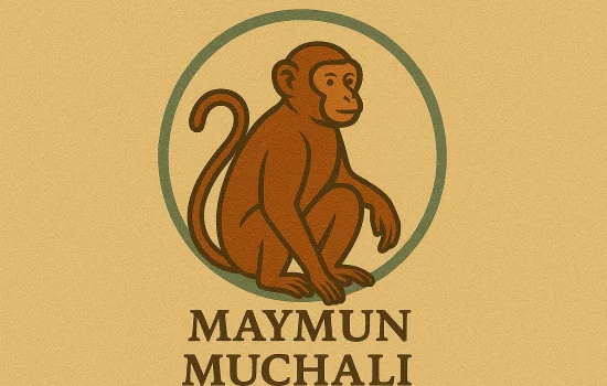 Maymun muchali haqida