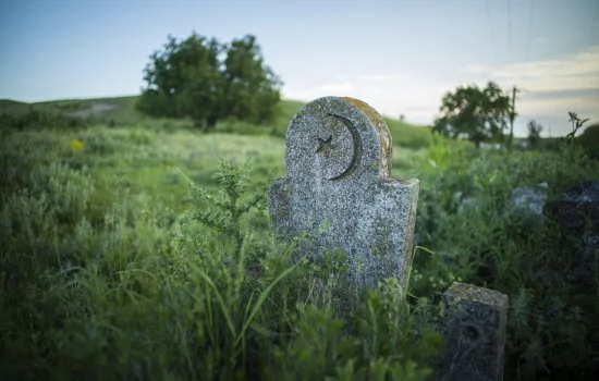 Tushda mozor ko‘rish nimani anglatadi?