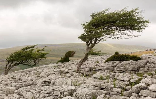 Tushda shamol ko‘rish nimani bildiradi?