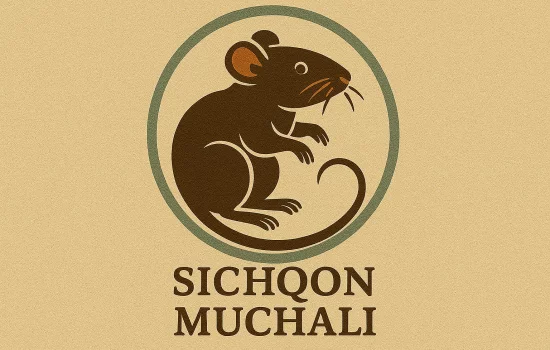 Sichqon muchali haqida