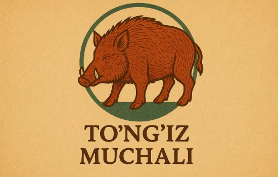 To'ng'iz muchali haqida