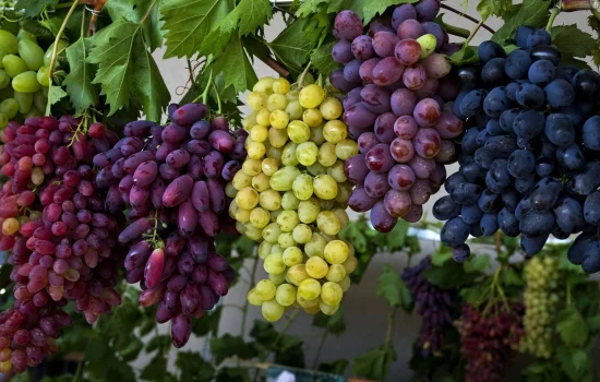 Tushda uzum ko‘rish nimani anglatadi?