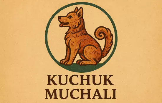 Kuchuk muchali haqida