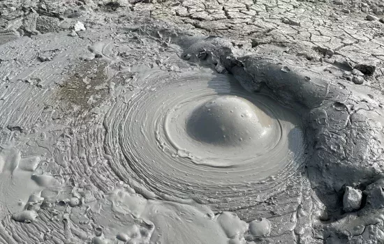 Tushda loy ko‘rish nimani bildiradi?