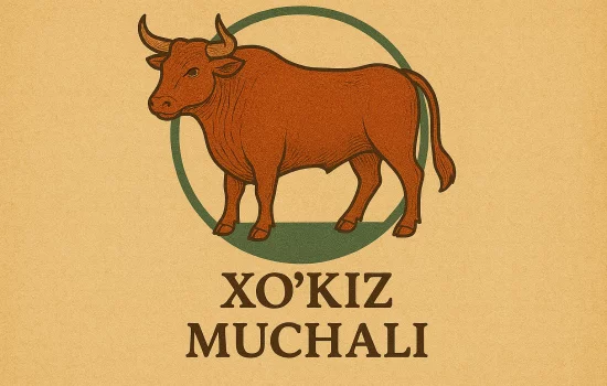 Xo'kiz (sigir) muchali haqida