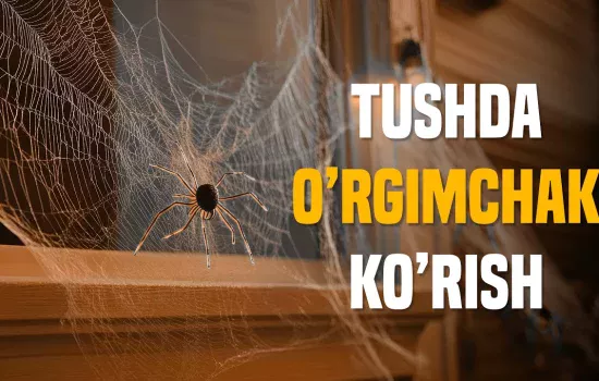 Tushda o‘rgimchak ko‘rish nimani bildiradi?