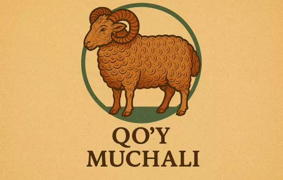 Qo'y muchali haqida