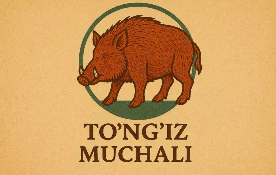 To'ng'iz muchali haqida