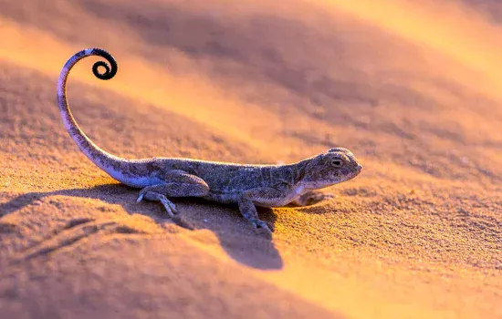 Kolda jinsiy aloqa porno