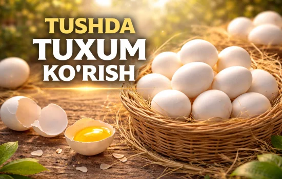 Tushda tuxum ko‘rish nimani anglatadi?