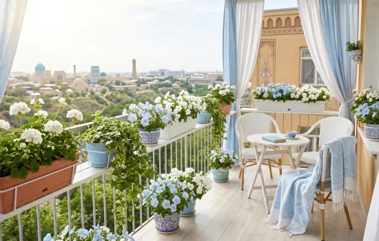 Tushda balkon ko‘rsa nima bo‘ladi? Kelajak rejalari va xushxabar ta’biri