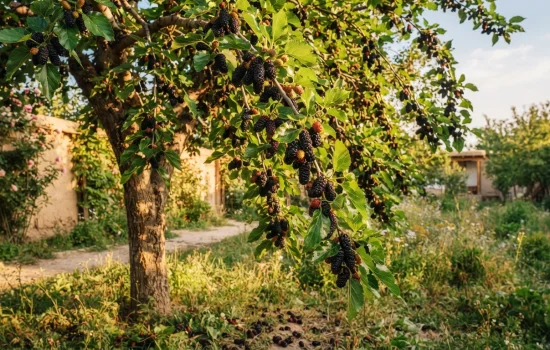 Tushda qoratut ko‘rish – tush ta’biri va ma’nosi